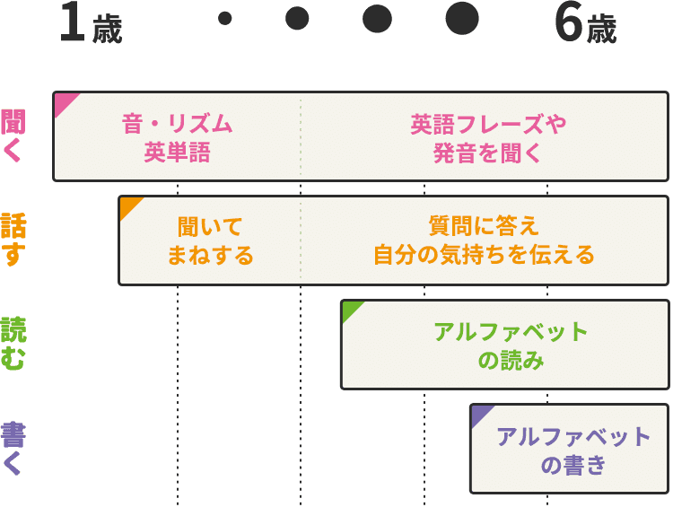年齢に合わせた4技能カリキュラムの図
